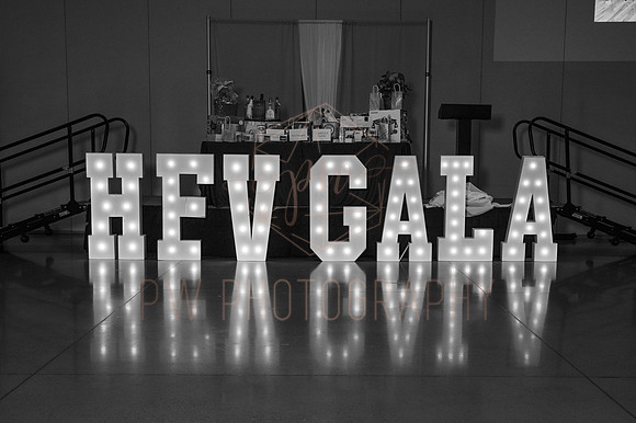 HFVgala25-24
