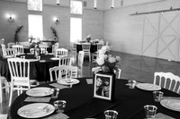STM-9