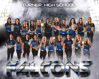 HS Softball 8x10 team