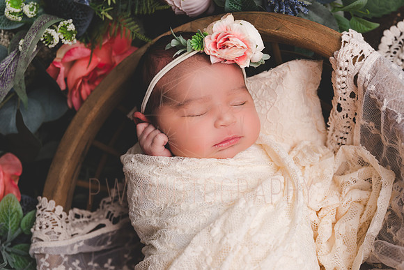 B-25