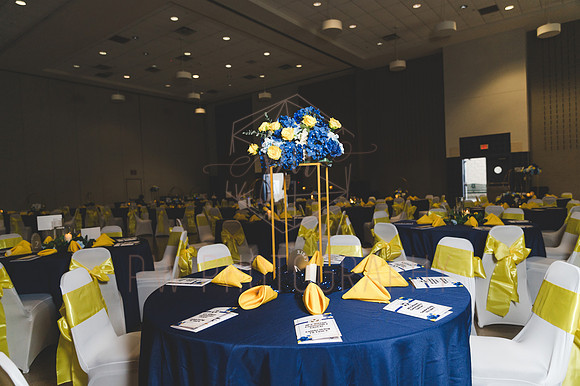 HFVgala25-3