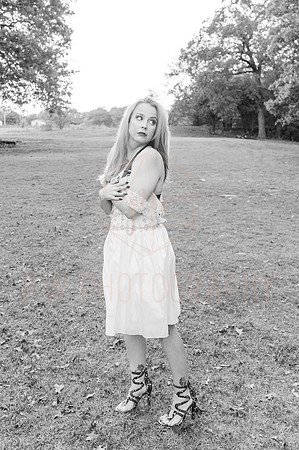SFD-5