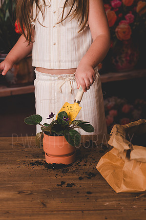PE-28